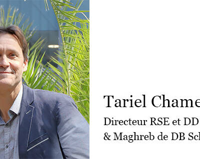 Tariel Chamerois